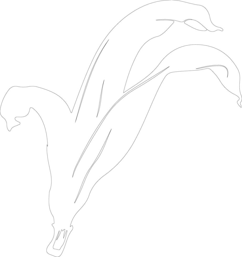 plantain  outline silhouette vector