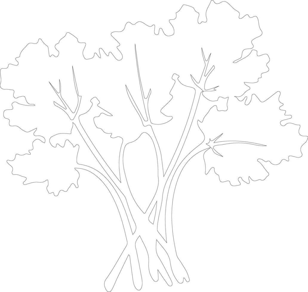 rhubarb  outline silhouette vector