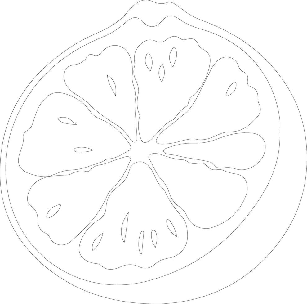 ugli fruit  outline silhouette vector