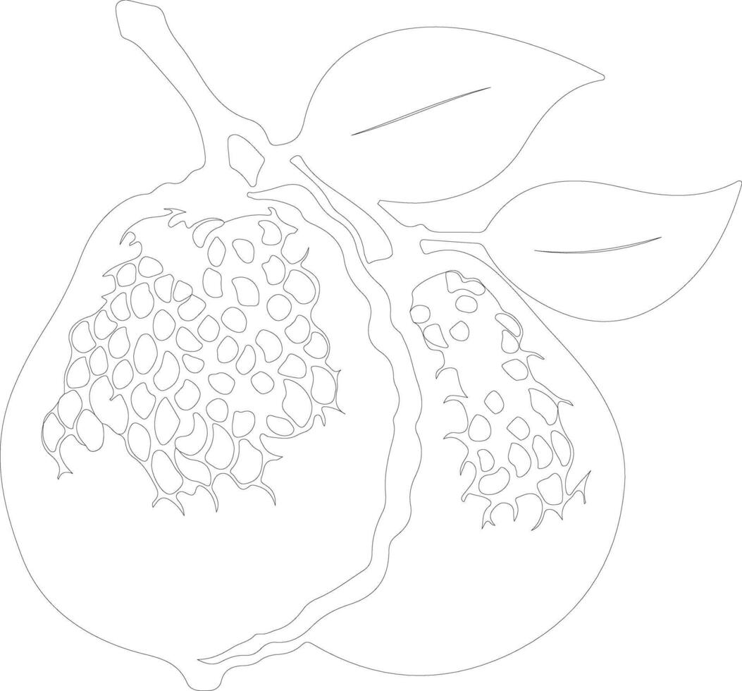 ugli fruit outline silhouette vector