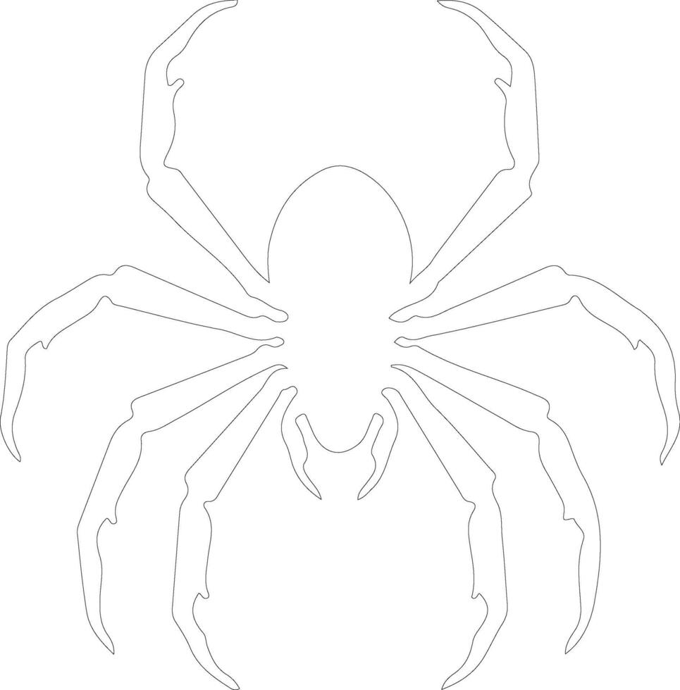 whip scorpion  outline silhouette vector