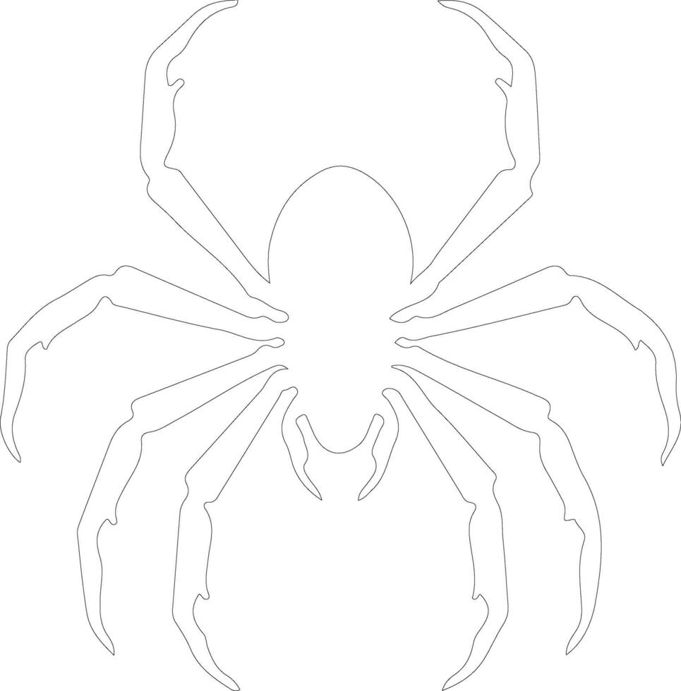 whip scorpion  outline silhouette vector