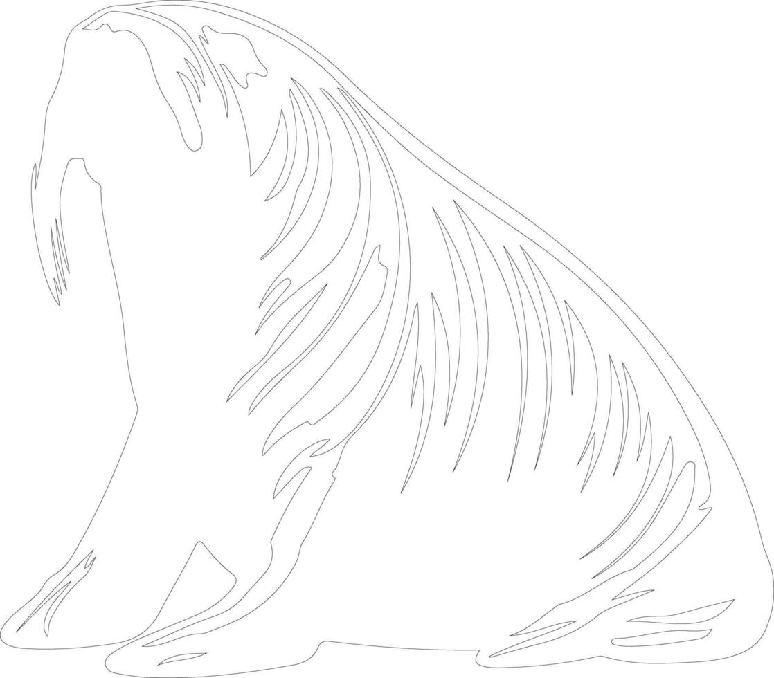walrus  outline silhouette vector