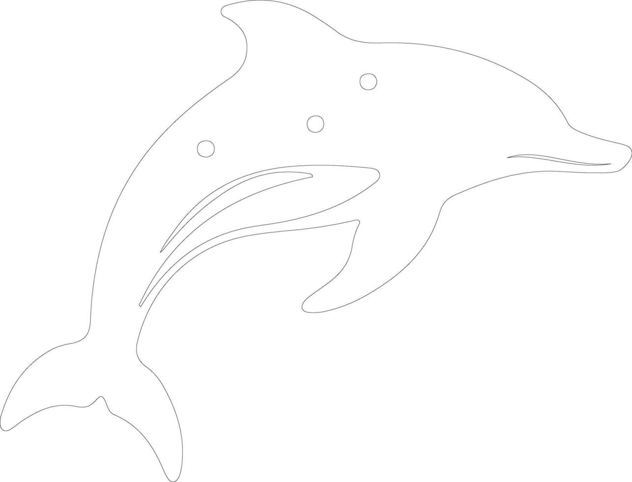 white-spotted dolphin  outline silhouette vector