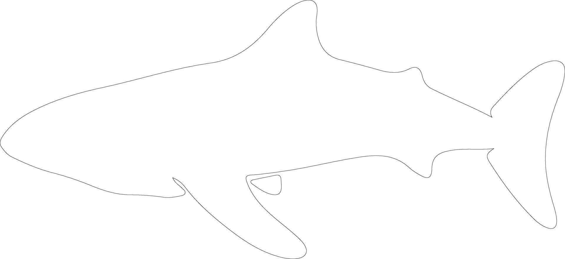 whale shark  outline silhouette vector