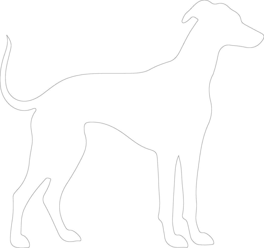 Whippet outline silhouette vector