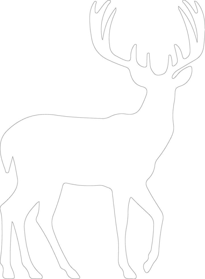 white-tailed deer  outline silhouette vector