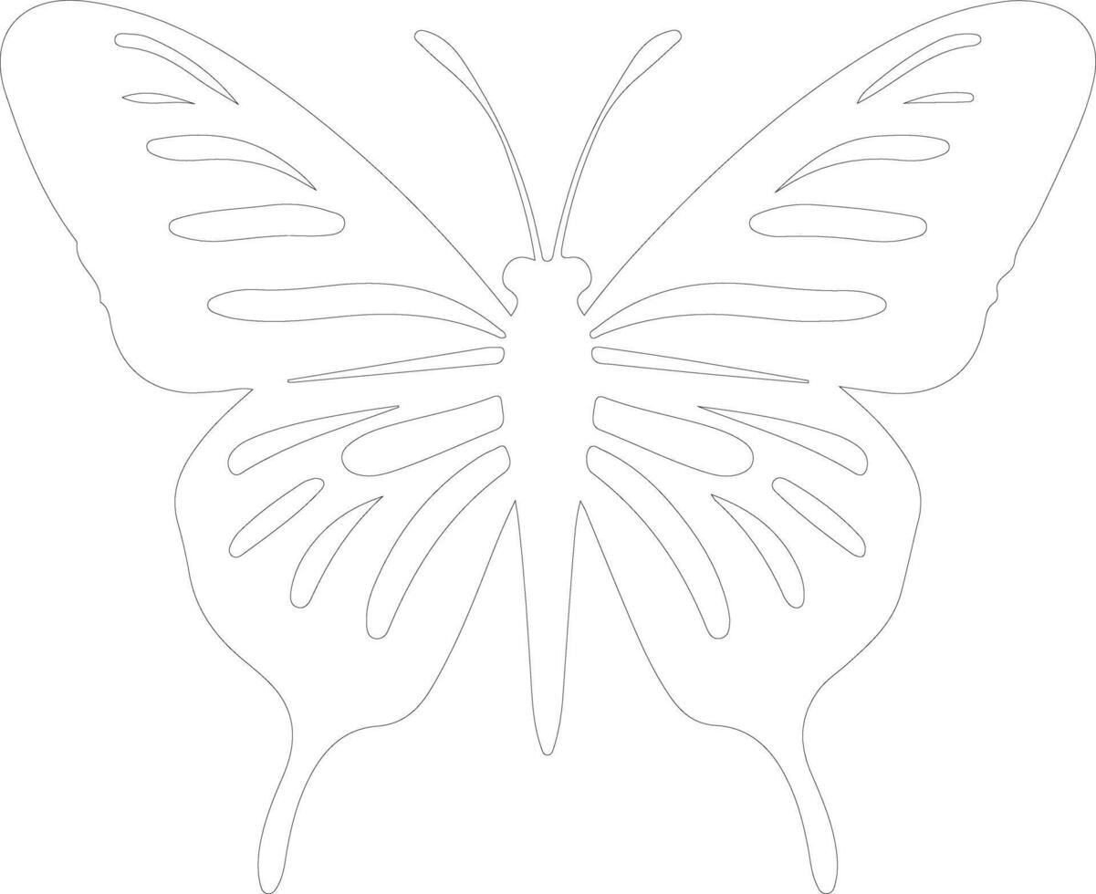 zebra longwing butterfly  outline silhouette vector