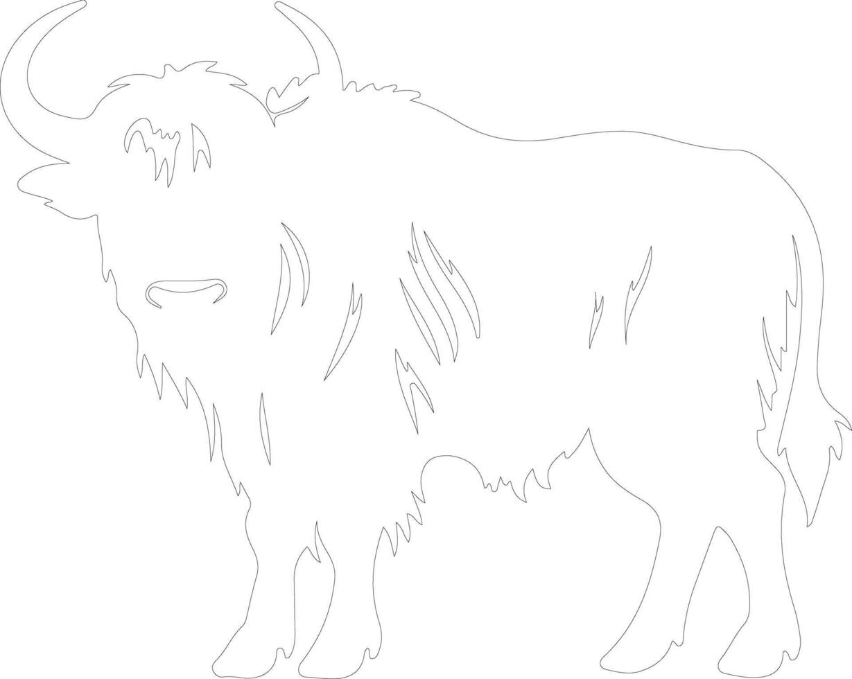 yak  outline silhouette vector