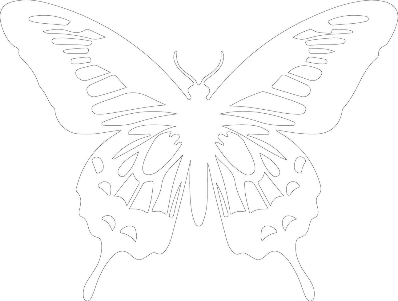 zebra swallowtail butterfly  outline silhouette vector