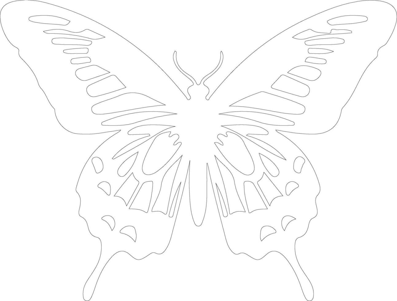 zebra swallowtail butterfly  outline silhouette vector