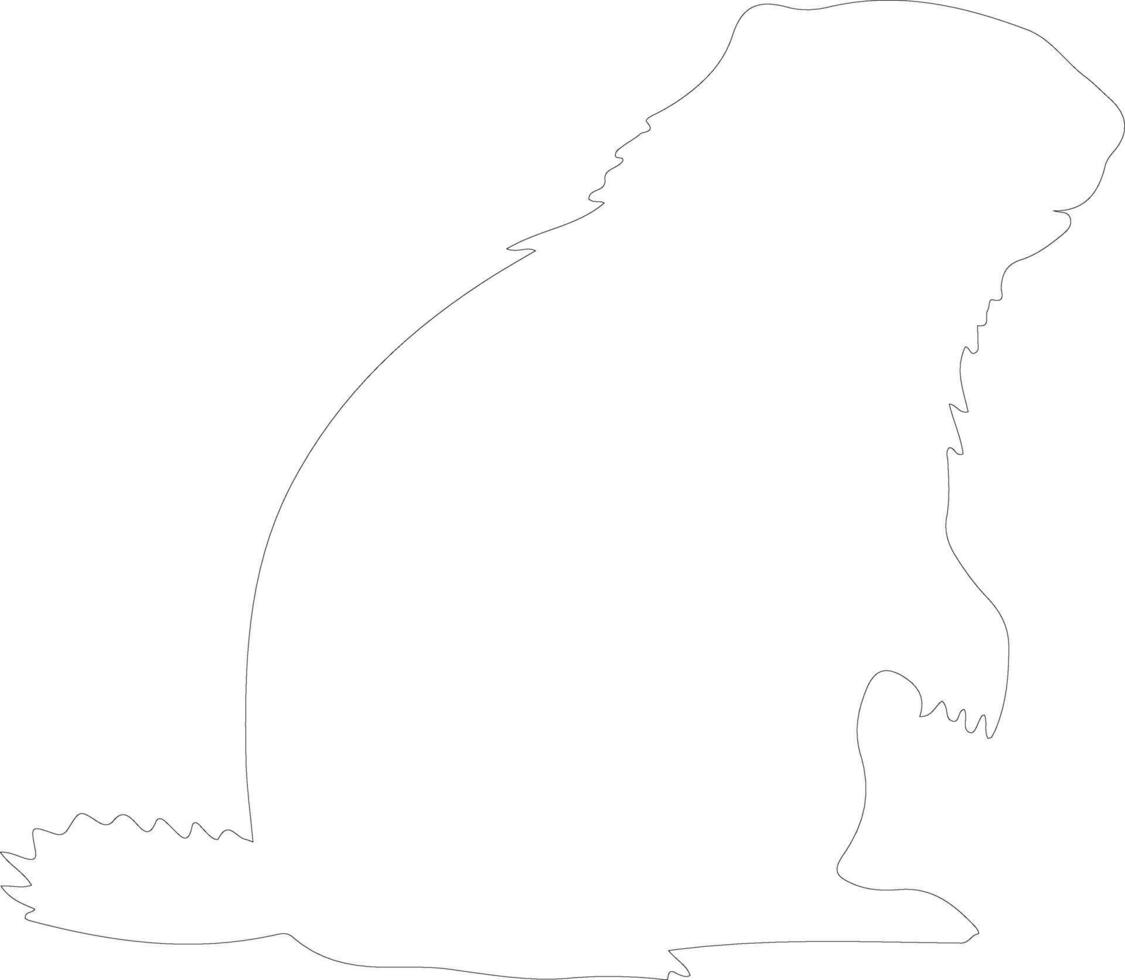 woodchuck  outline silhouette vector