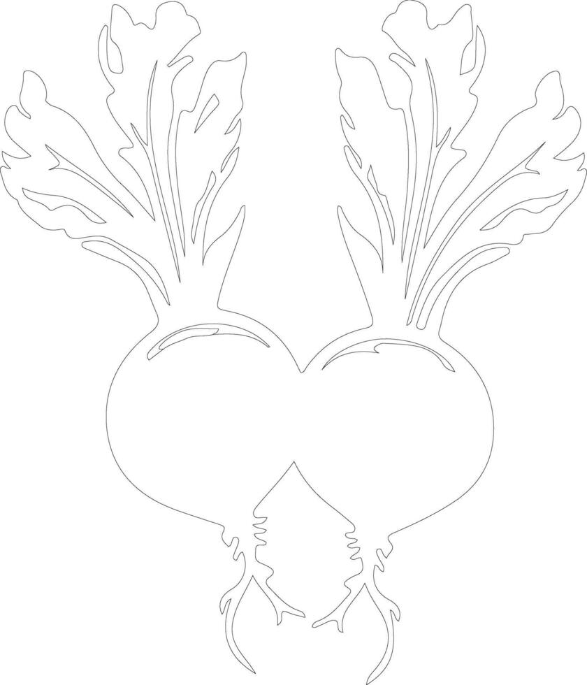 beets  outline silhouette vector