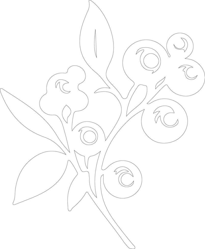 blueberry  outline silhouette vector