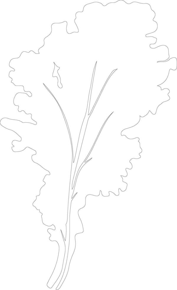 chard  outline silhouette vector