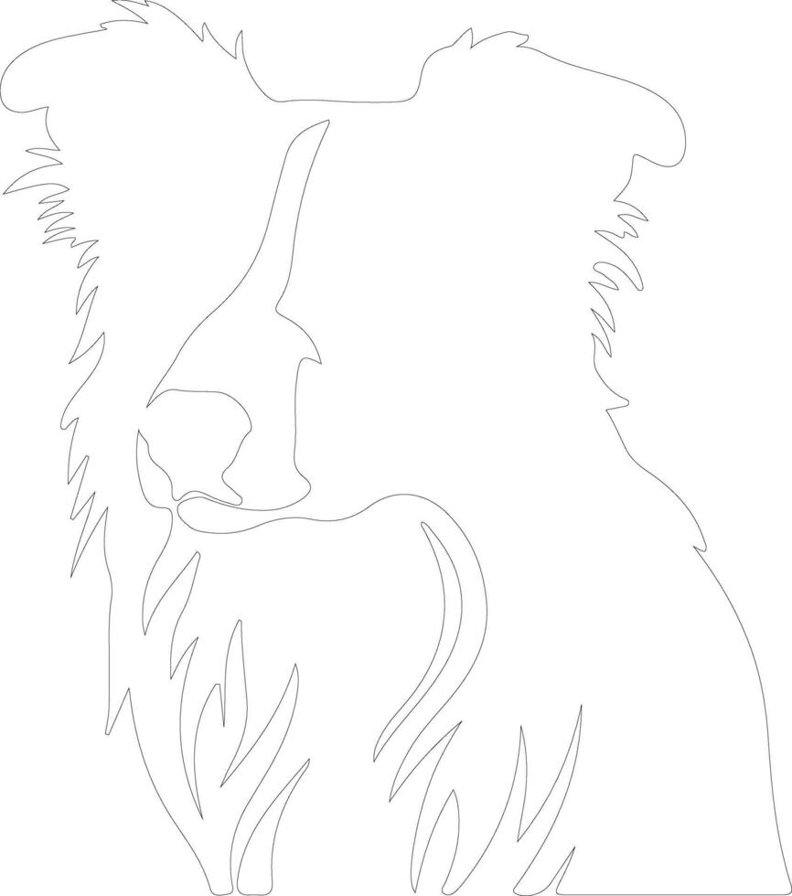 Collie  outline silhouette vector