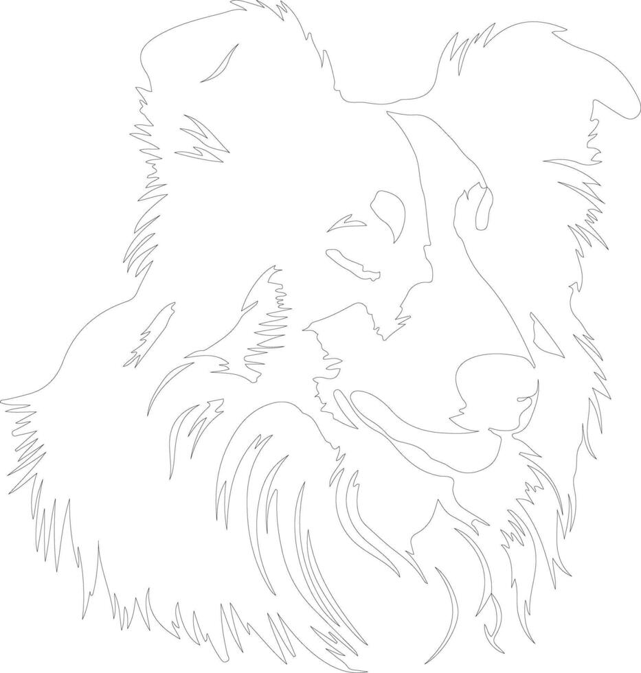 Collie  outline silhouette vector