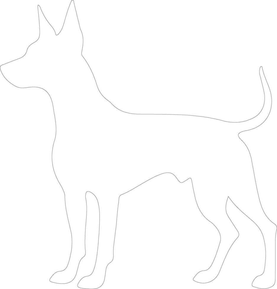 German Pinscher  outline silhouette vector