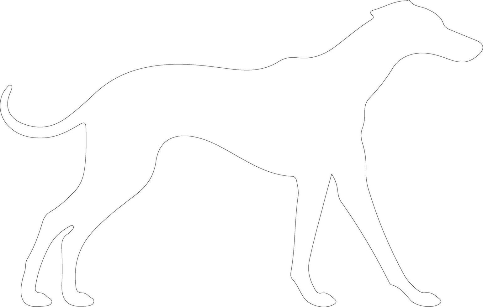 galgo contorno silueta vector