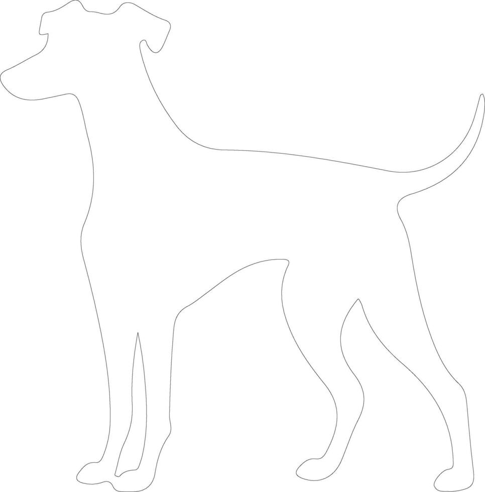 Italian Greyhound  outline silhouette vector