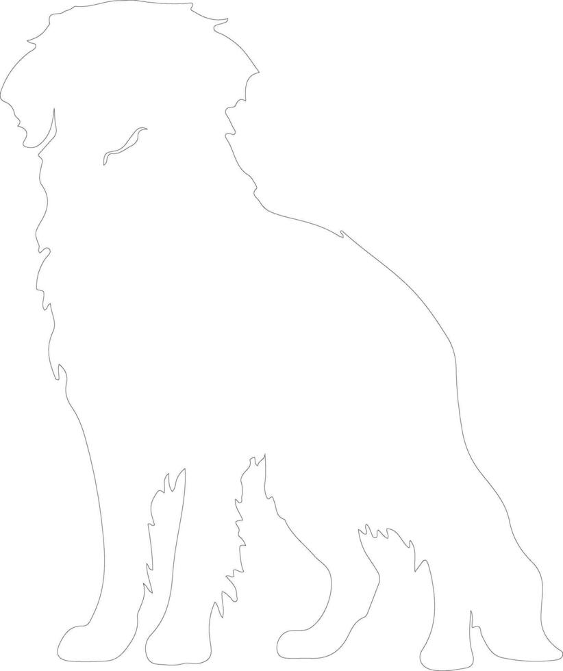 Kuvasz  outline silhouette vector