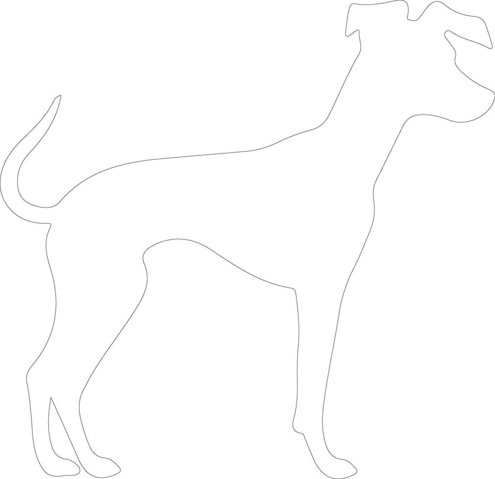 italiano galgo contorno silueta vector