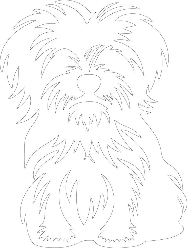 Maltese  outline silhouette vector