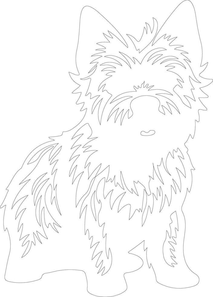 Norwich Terrier outline silhouette vector