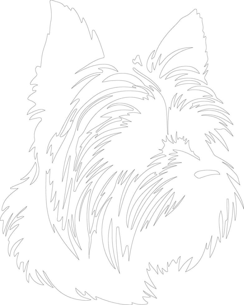 Silky Terrier outline silhouette vector
