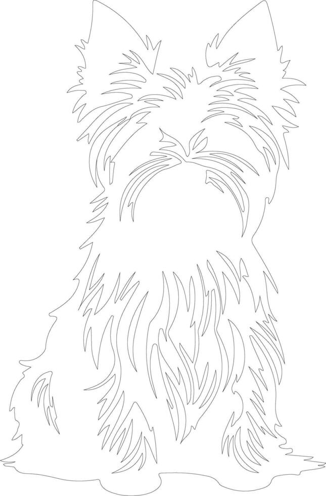 Silky Terrier outline silhouette vector