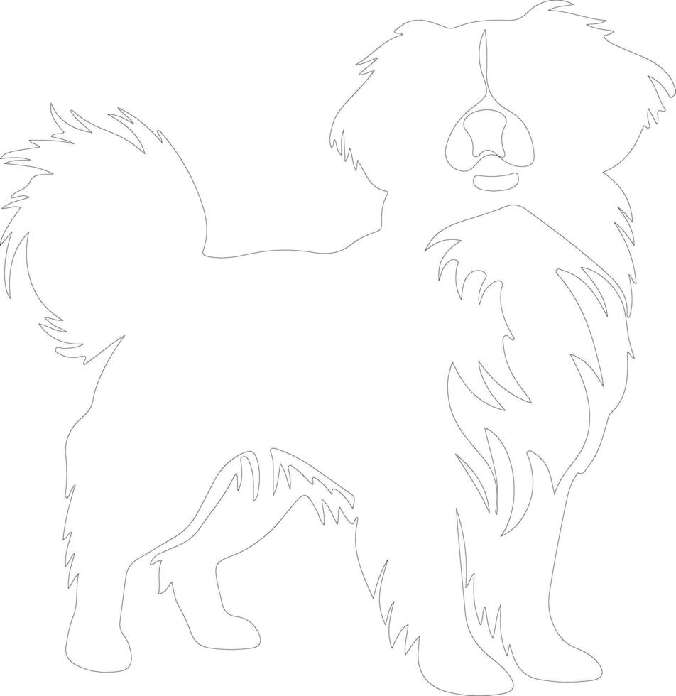 Tibetan Spaniel outline silhouette vector