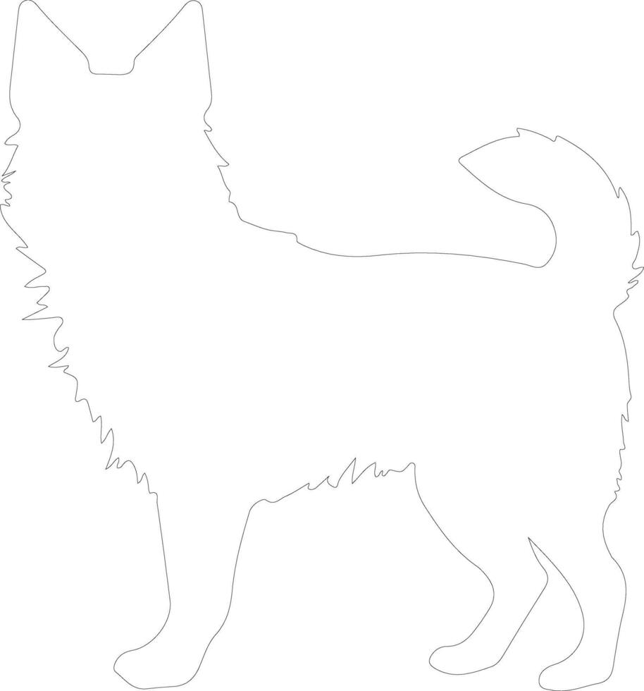 Swedish Vallhund  outline silhouette vector