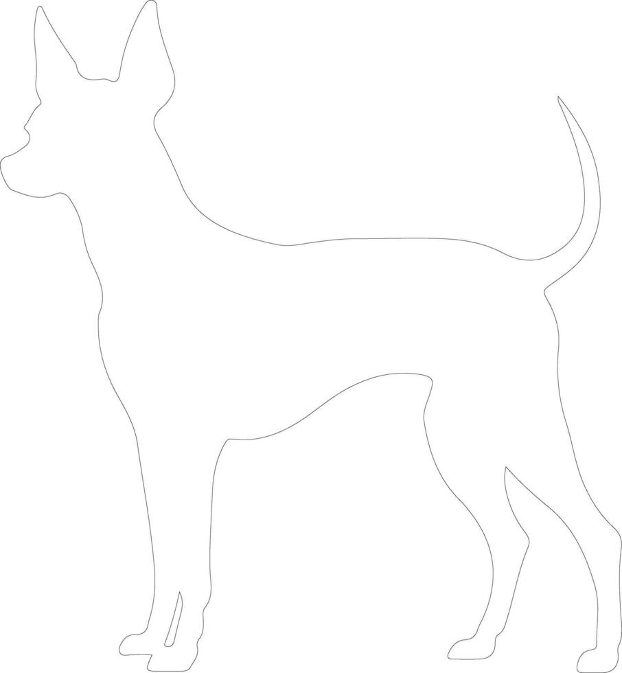 Xoloitzcuintli Mexican Hairless Dog outline silhouette vector
