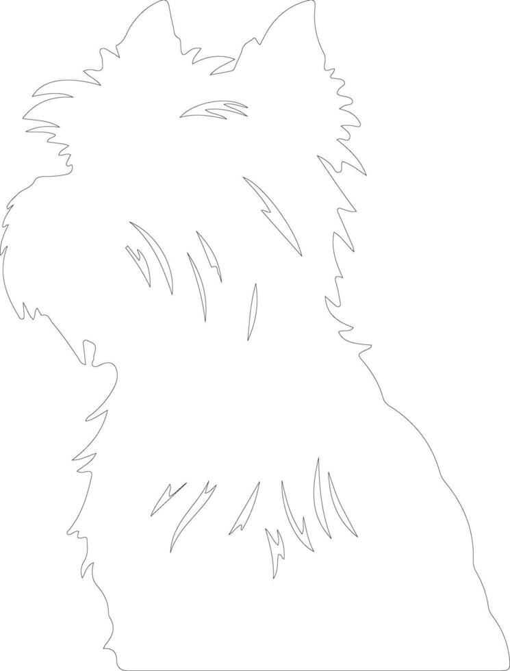 affenpinscher contorno silueta vector