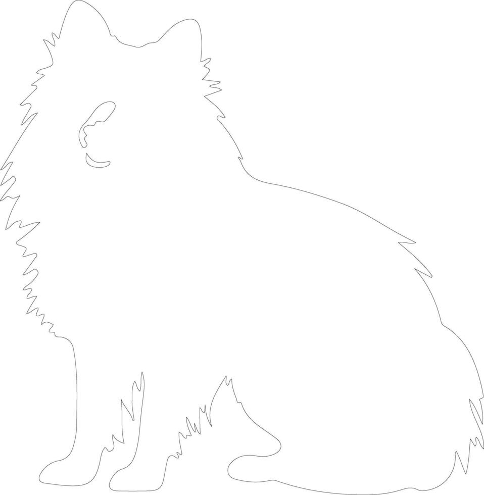 American Eskimo Dog  outline silhouette vector
