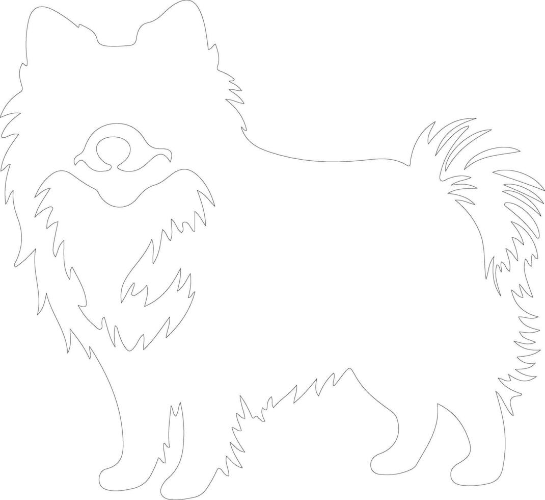 American Eskimo Dog outline silhouette vector