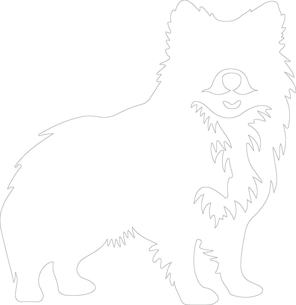 American Eskimo Dog  outline silhouette vector