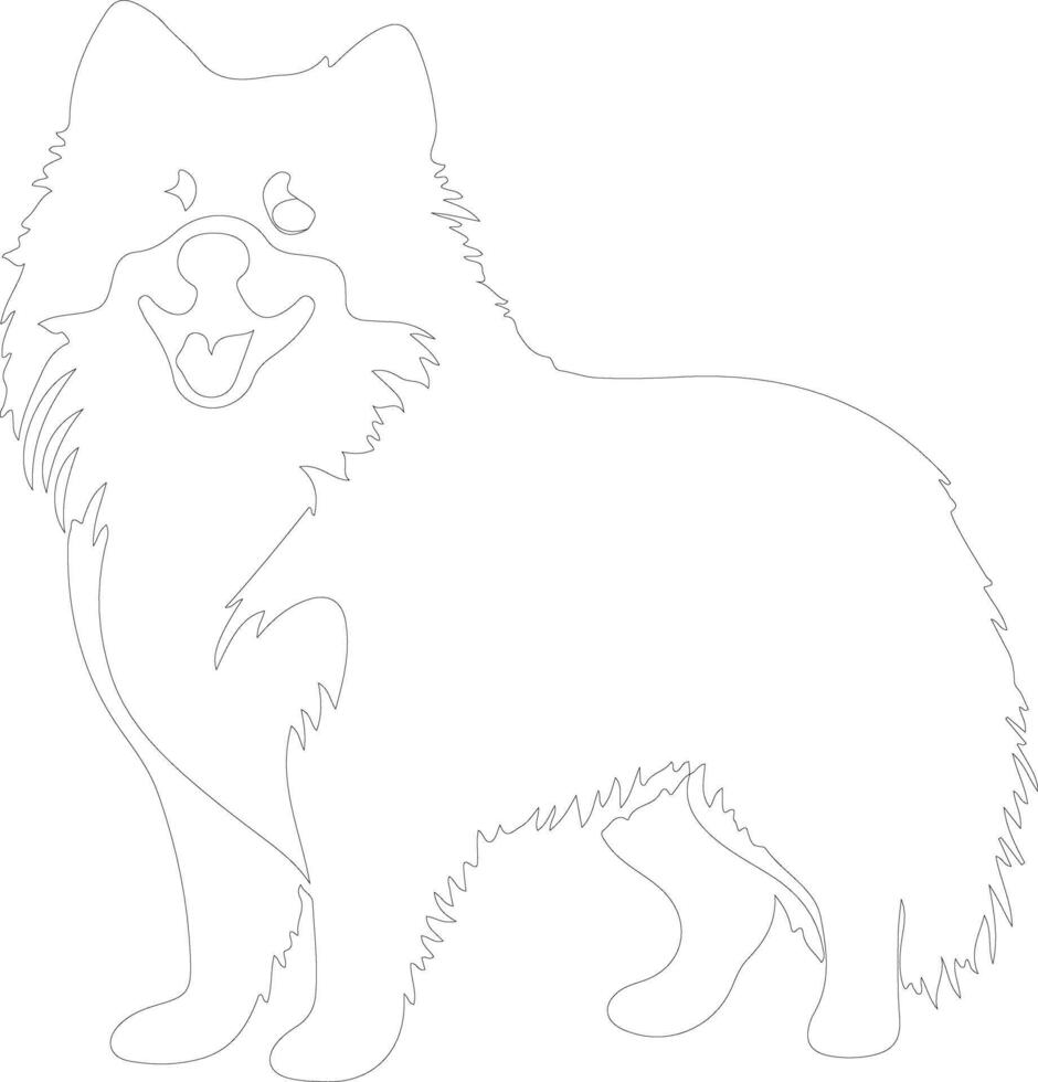 American Eskimo Dog  outline silhouette vector