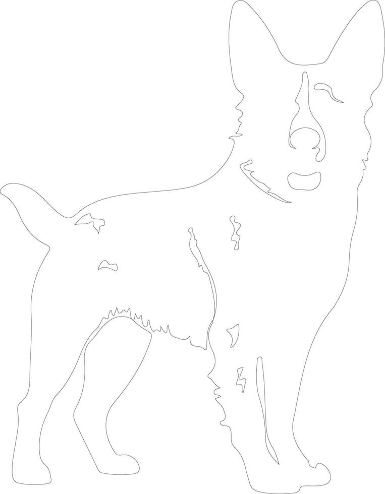 Australian Cattle Dog  outline silhouette vector
