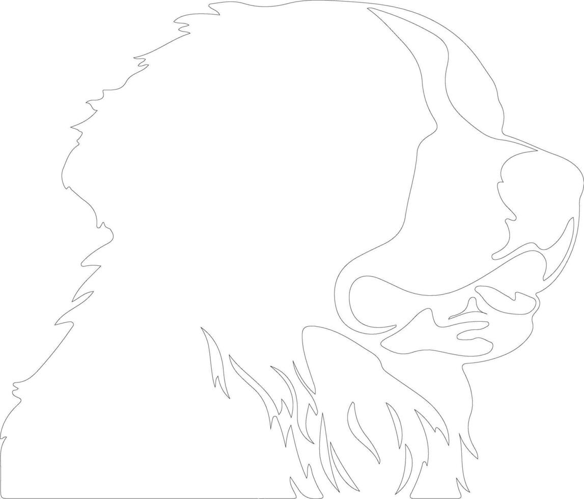 Bernese Mountain Dog  outline silhouette vector