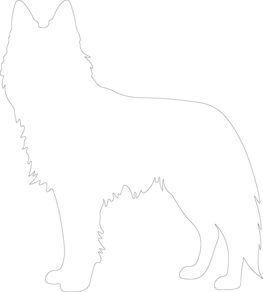 Belgian Tervuren  outline silhouette vector