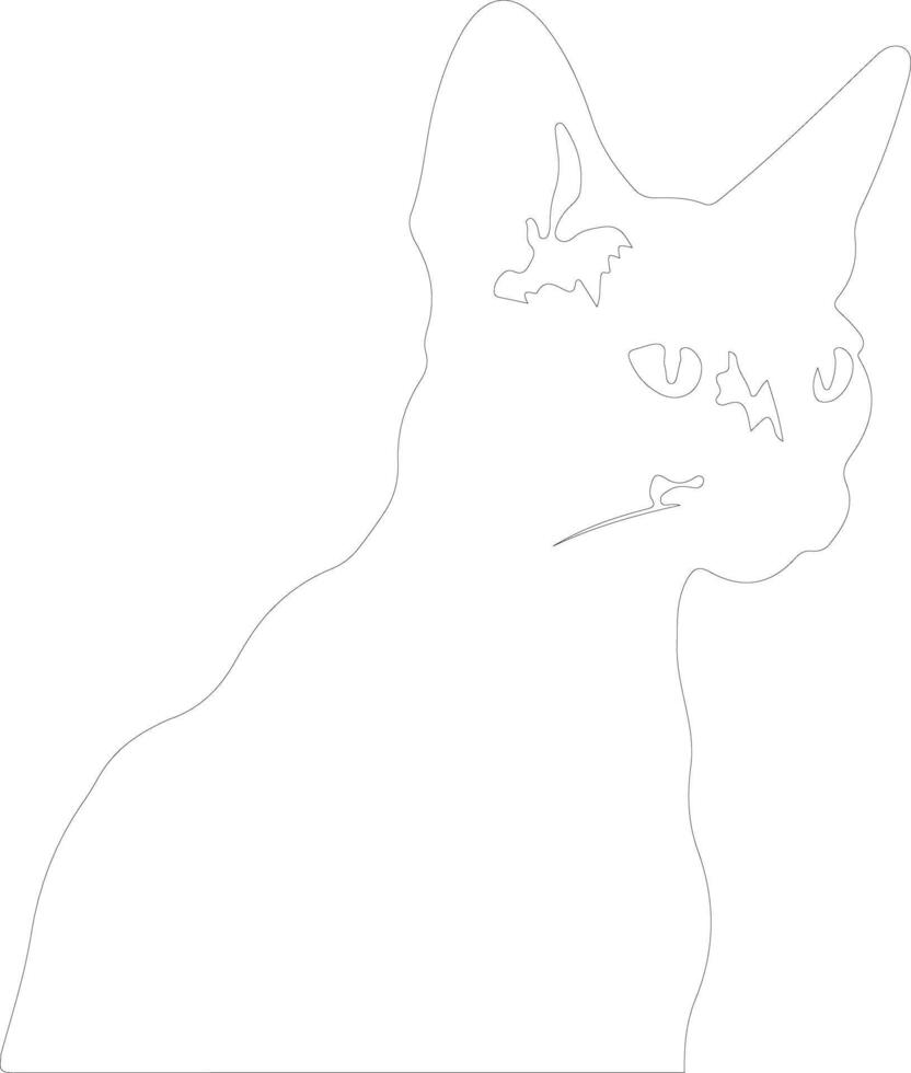 Devon Rex Cat  outline silhouette vector