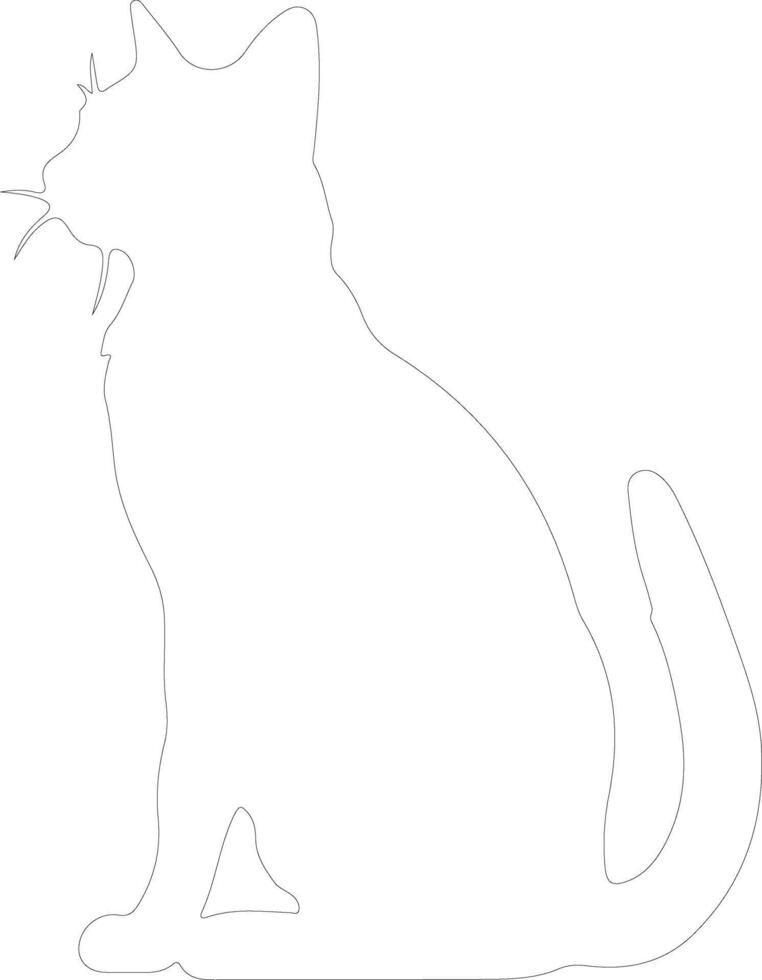 European Shorthair Cat  outline silhouette vector