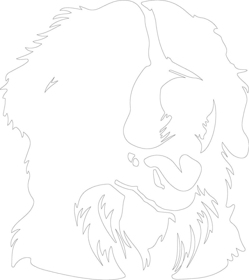 Bernese Mountain Dog  outline silhouette vector