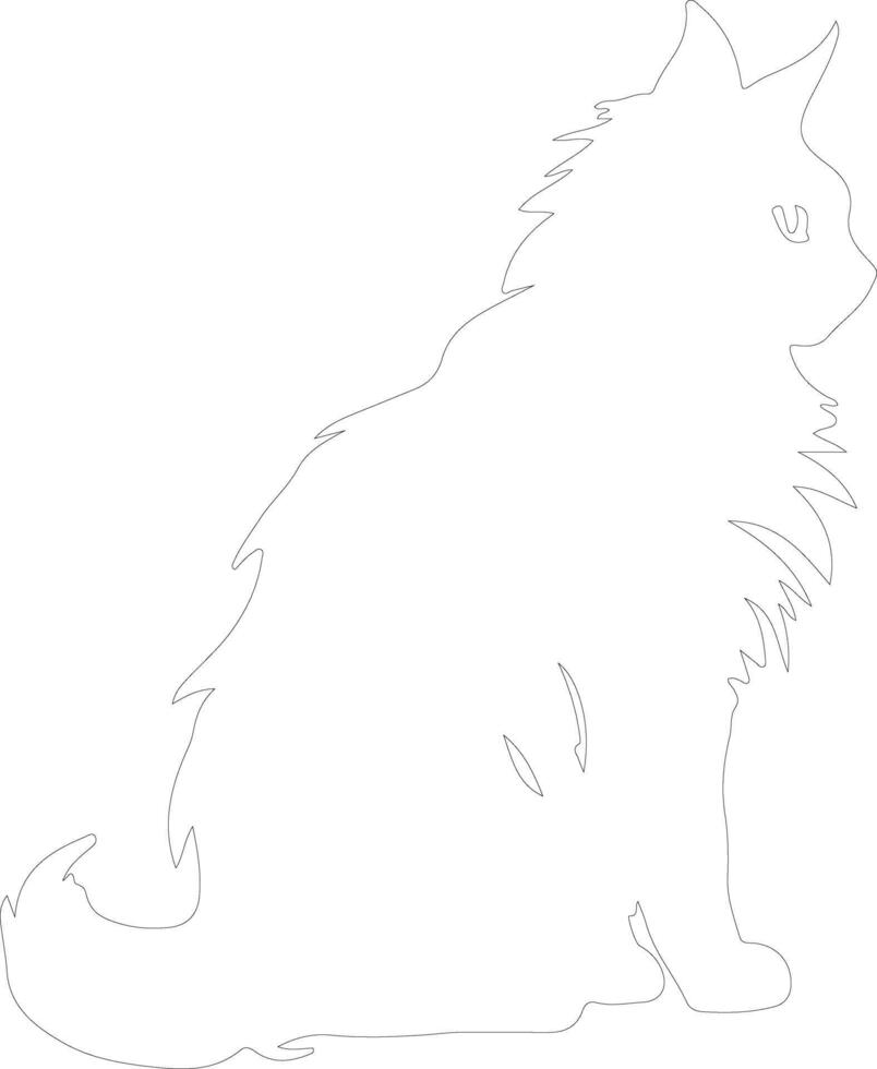 Maine Coon Cat  outline silhouette vector