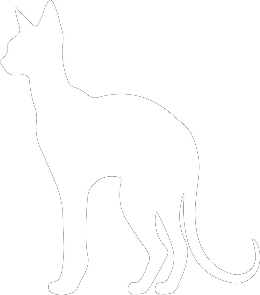 oriental cabello corto gato contorno silueta vector