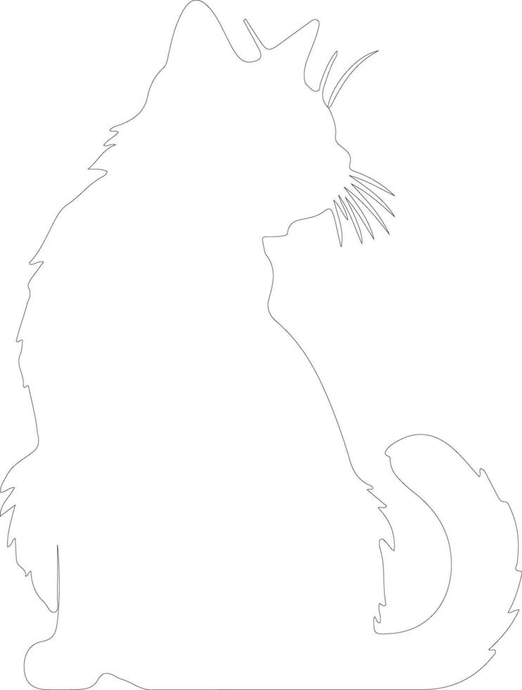 Ragamuffin Cat  outline silhouette vector