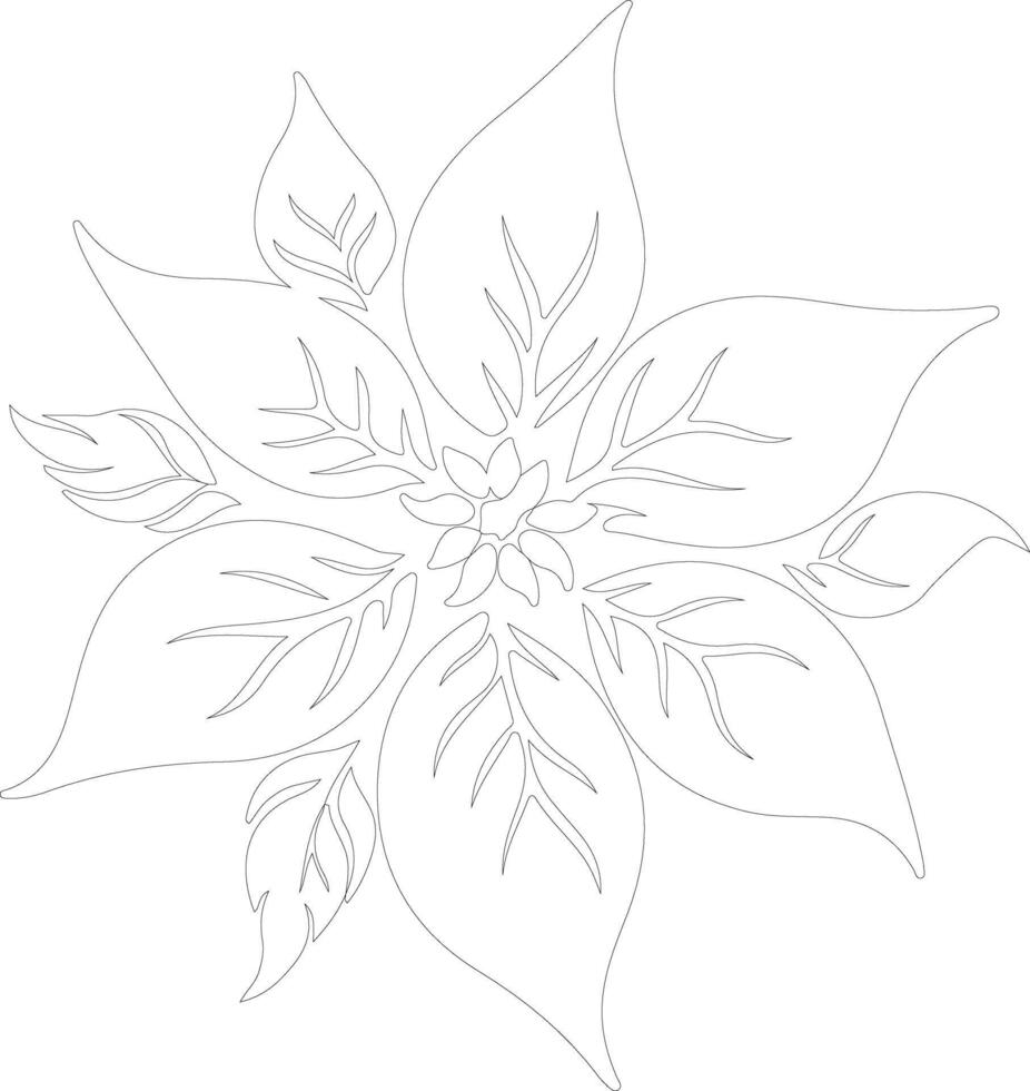 Poinsettia plant  outline silhouette vector