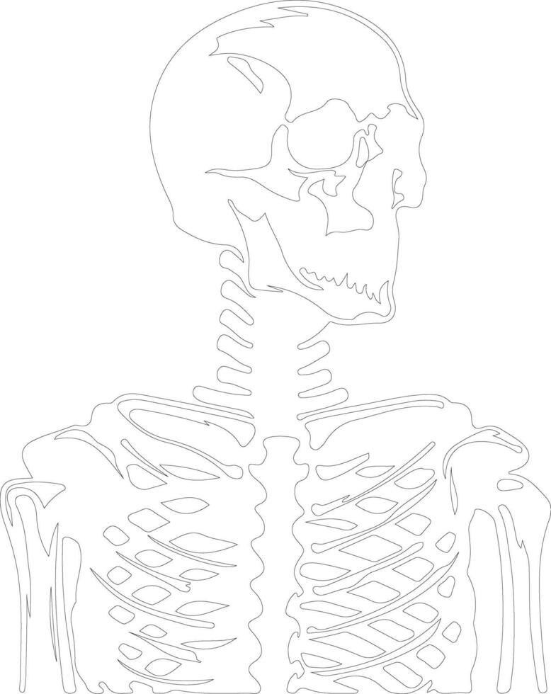 Skeleton  outline silhouette vector