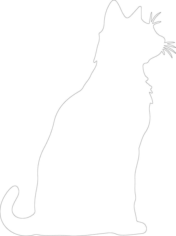 Sokoke Cat outline silhouette vector